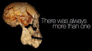 A new human species has been identified in Africa